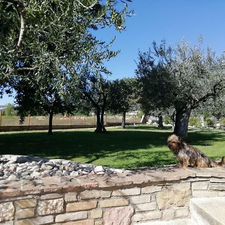 La Lanterna Di Lanfo Apartman Assisi Kültér fotó